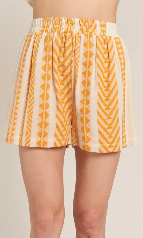 Embroidered Striped Waistband Shorts